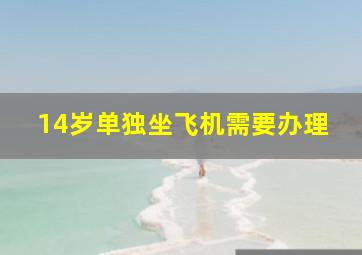 14岁单独坐飞机需要办理