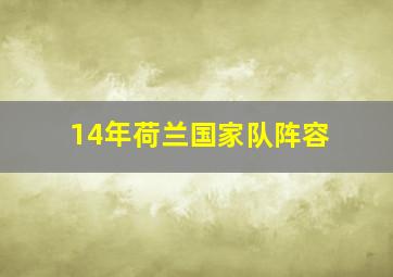 14年荷兰国家队阵容