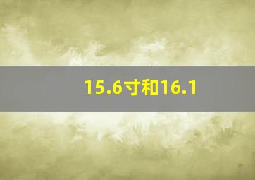 15.6寸和16.1