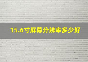 15.6寸屏幕分辨率多少好