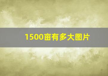 1500亩有多大图片