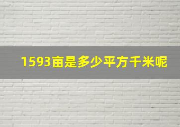 1593亩是多少平方千米呢