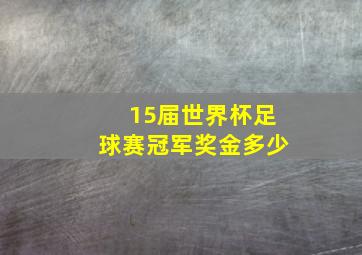 15届世界杯足球赛冠军奖金多少