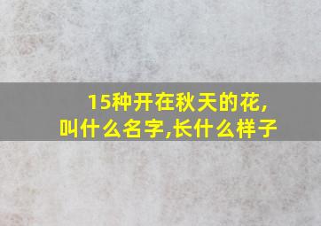 15种开在秋天的花,叫什么名字,长什么样子