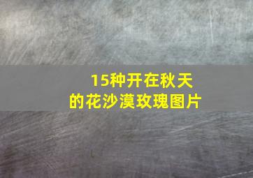 15种开在秋天的花沙漠玫瑰图片