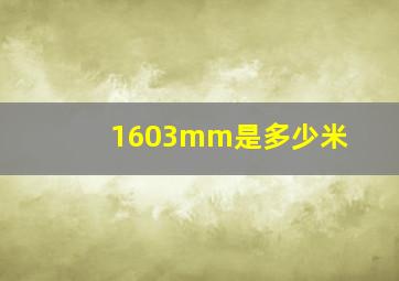 1603mm是多少米