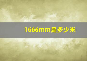 1666mm是多少米