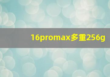 16promax多重256g