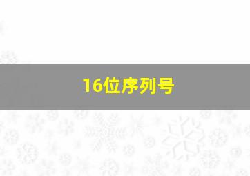 16位序列号