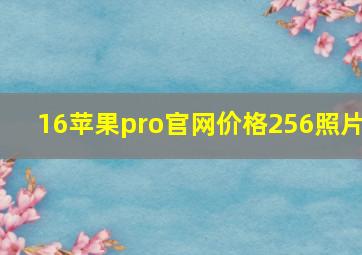 16苹果pro官网价格256照片