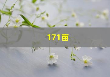 171亩