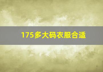 175多大码衣服合适