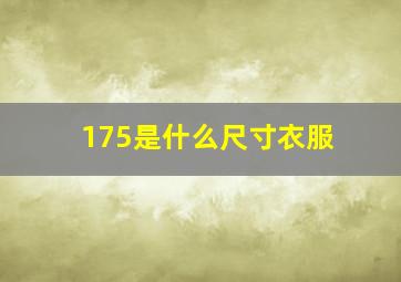 175是什么尺寸衣服