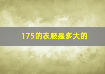 175的衣服是多大的