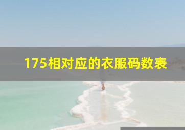 175相对应的衣服码数表