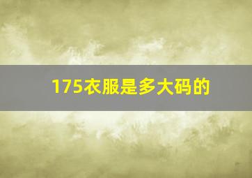 175衣服是多大码的