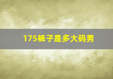 175裤子是多大码男