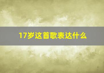 17岁这首歌表达什么