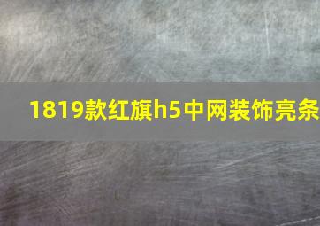 1819款红旗h5中网装饰亮条