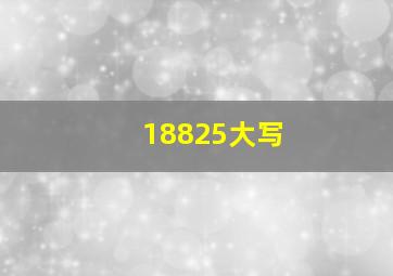 18825大写