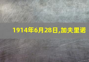 1914年6月28日,加夫里诺