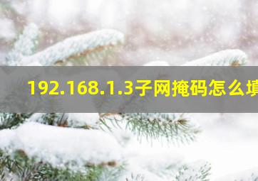 192.168.1.3子网掩码怎么填