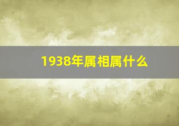 1938年属相属什么