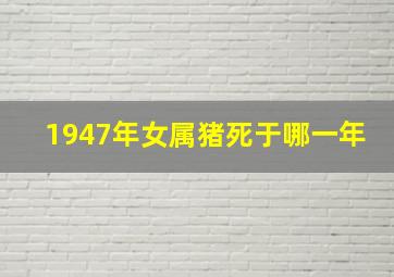 1947年女属猪死于哪一年