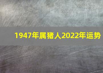 1947年属猪人2022年运势