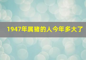 1947年属猪的人今年多大了