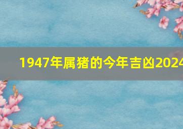 1947年属猪的今年吉凶2024