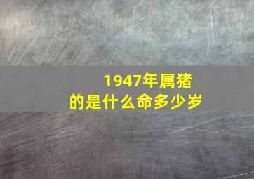 1947年属猪的是什么命多少岁