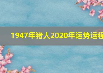 1947年猪人2020年运势运程