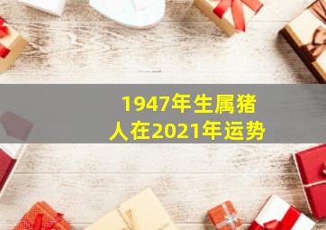 1947年生属猪人在2021年运势