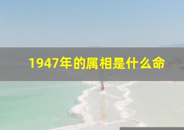 1947年的属相是什么命