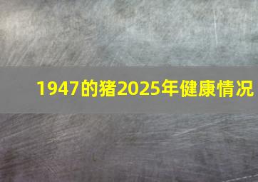 1947的猪2025年健康情况