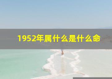 1952年属什么是什么命