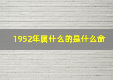 1952年属什么的是什么命