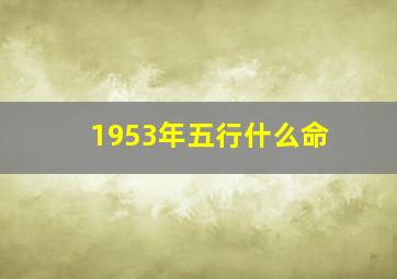 1953年五行什么命