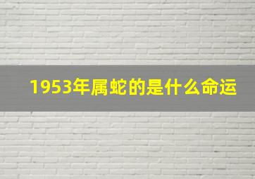 1953年属蛇的是什么命运