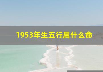 1953年生五行属什么命