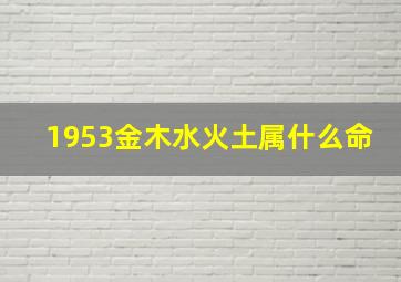 1953金木水火土属什么命