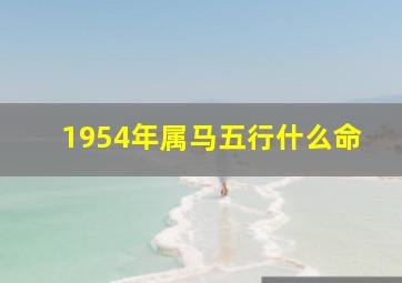 1954年属马五行什么命