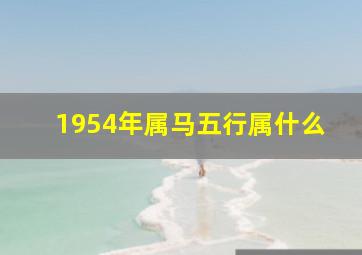 1954年属马五行属什么