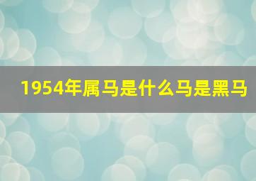 1954年属马是什么马是黑马