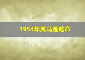 1954年属马是啥命