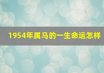 1954年属马的一生命运怎样