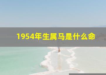 1954年生属马是什么命