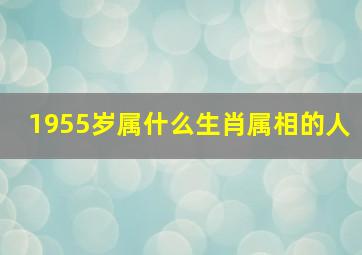 1955岁属什么生肖属相的人