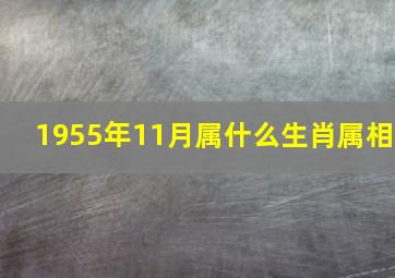 1955年11月属什么生肖属相